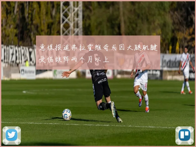 意媒报道弗拉霍维奇或因大腿肌腱受伤缺阵两个月以上