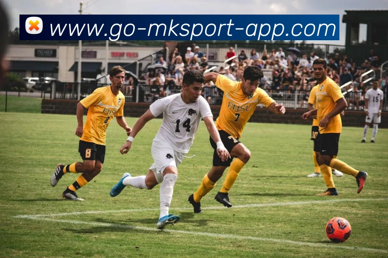 MK体育APP 封面图